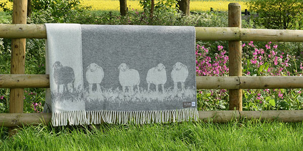 Grey Sheep Throw - JJ Textile